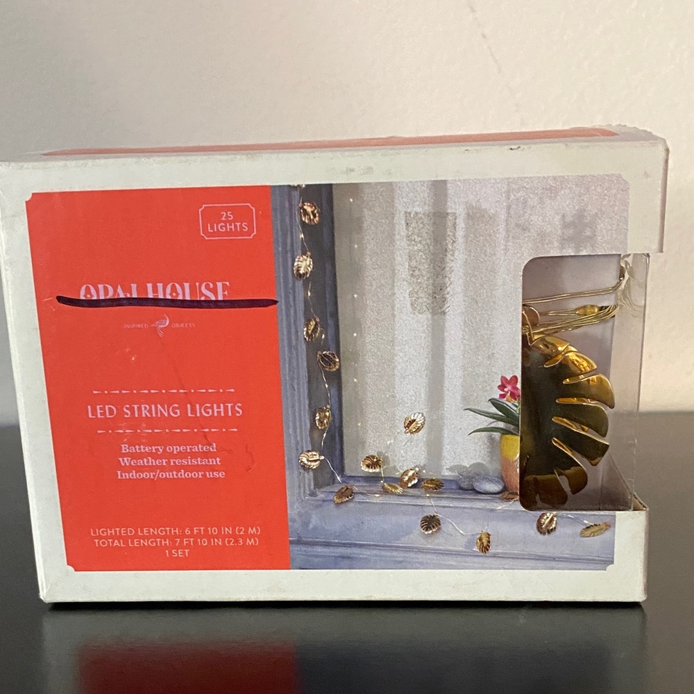Opalhouse Gold LED String Lights